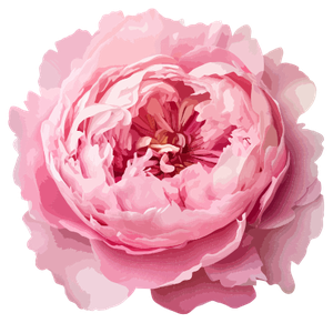 Luxury bloom bar experience in the Rio Grande Valley